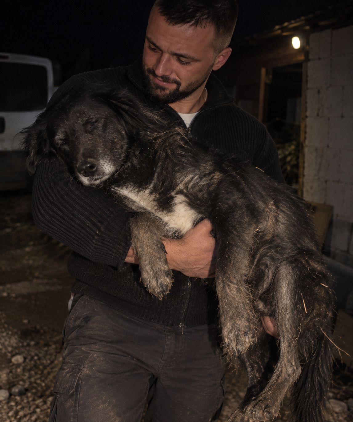 Rocky before rescue