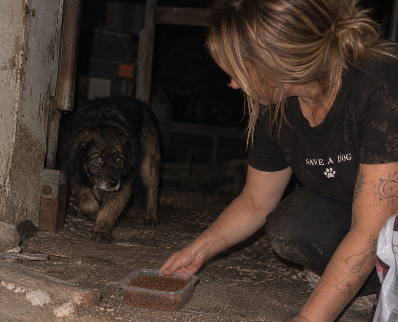 Daisy before rescue